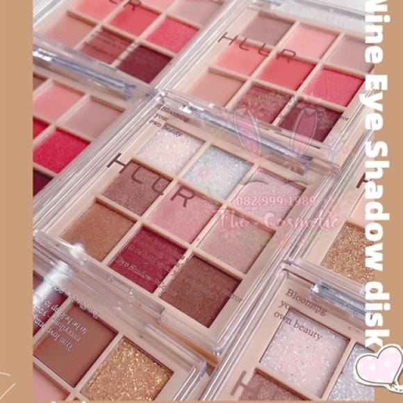 BẢNG PHẤN MẮT NHŨ LÌ 9 Ô HLLR