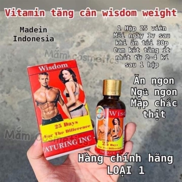 VITAMIN TĂNG CÂN WISDOM WEIGHT 25V