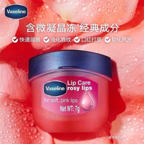 DƯỠNG MÔI VASELINE HỦ 7G